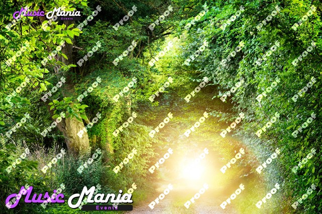 Nature 17